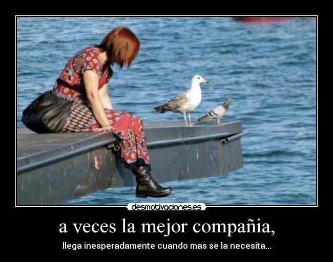 a veces la mejor compañia, -