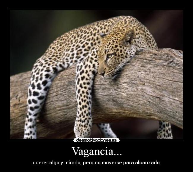 Vagancia... - 