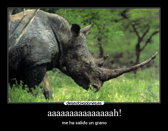 aaaaaaaaaaaaaaah! - me ha salido un grano