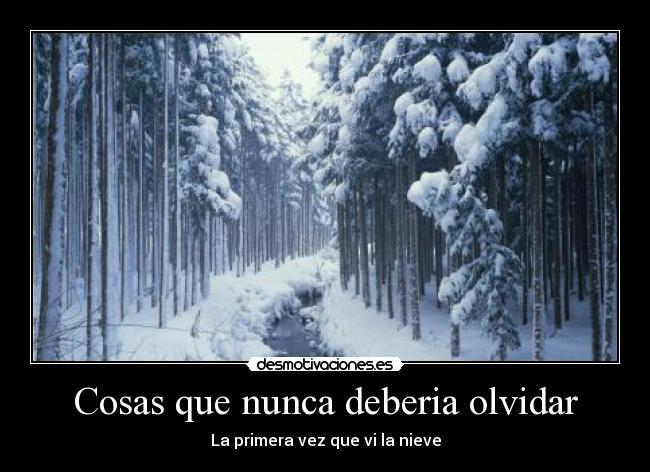 Cosas que nunca deberia olvidar - La primera vez que vi la nieve
