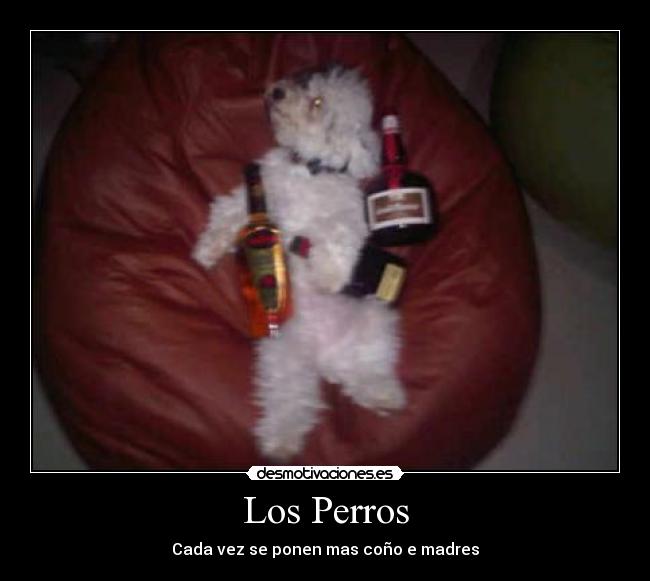 Los Perros - Cada vez se ponen mas coño e madres