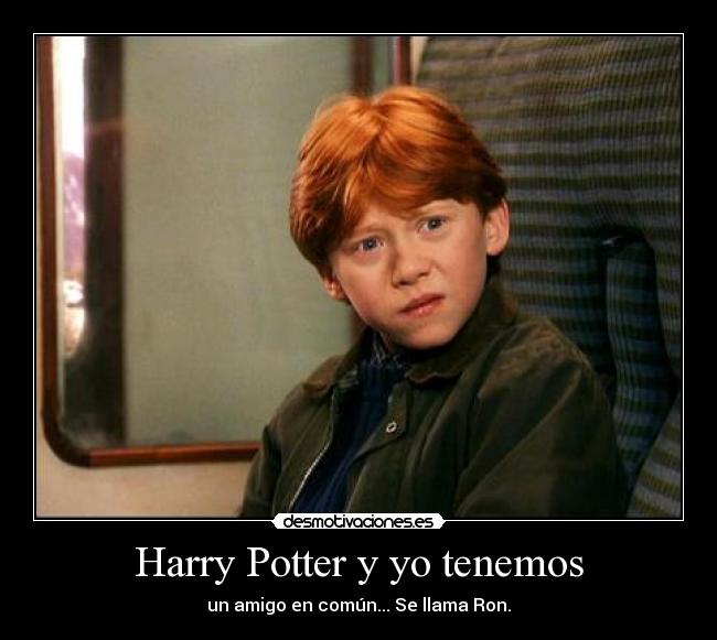 Harry Potter y yo tenemos - 