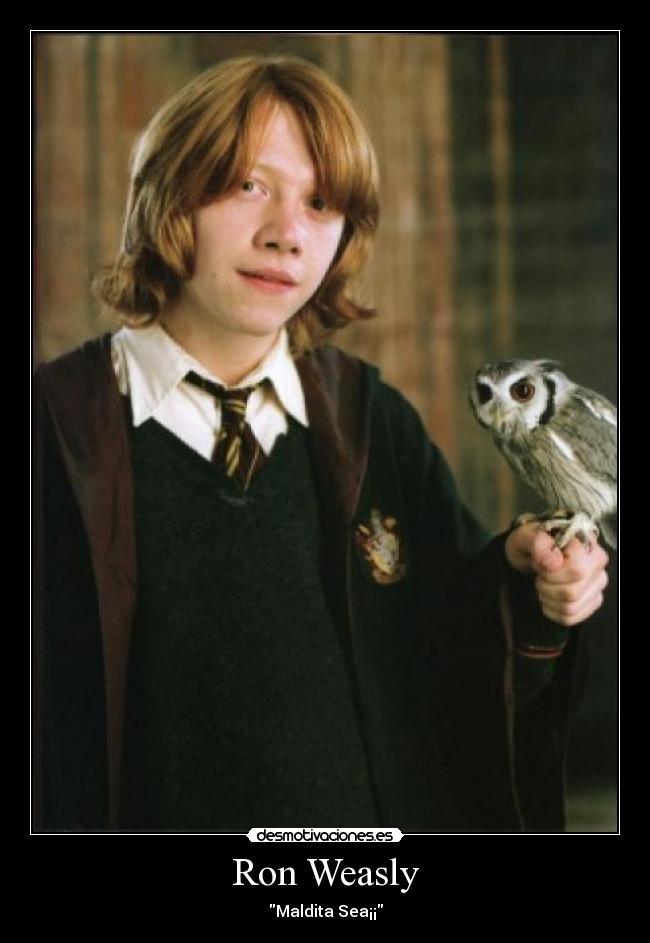 carteles harry potter desmotivaciones
