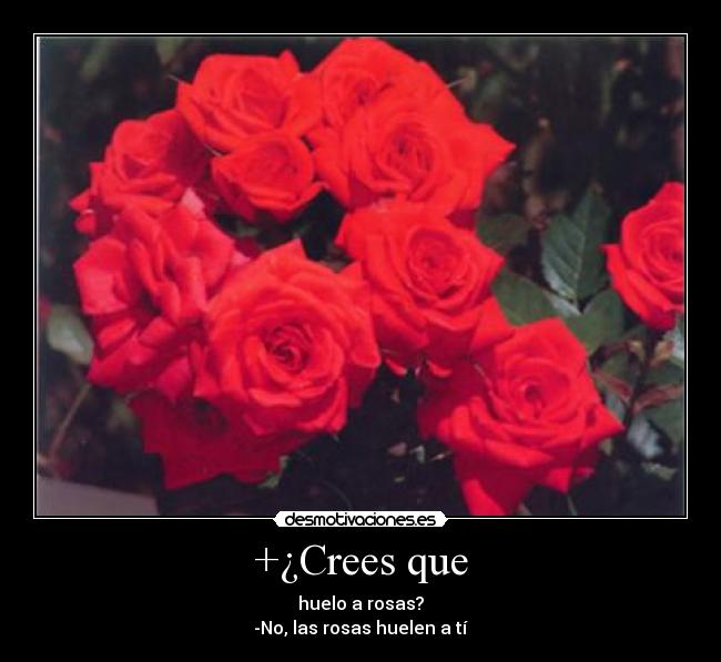 +¿Crees que - huelo a rosas?
-No, las rosas huelen a tí
