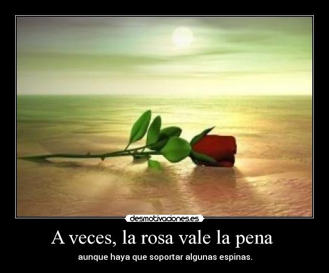A veces, la rosa vale la pena - aunque haya que soportar algunas espinas.