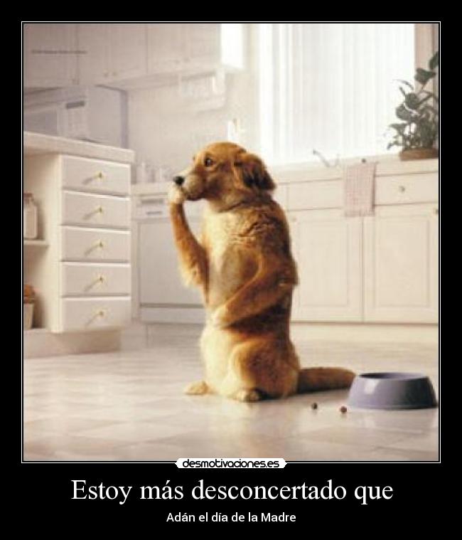 Estoy más desconcertado que -