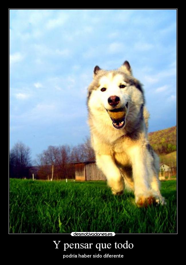 Y pensar que todo - podría haber sido diferente