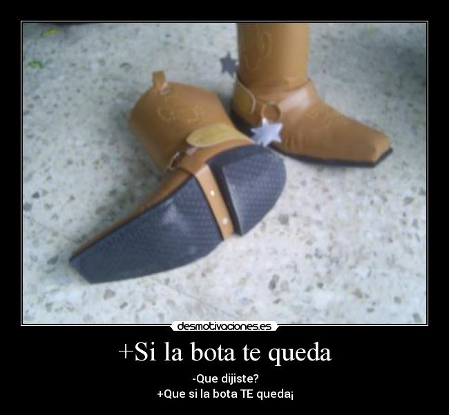 carteles woody desmotivaciones