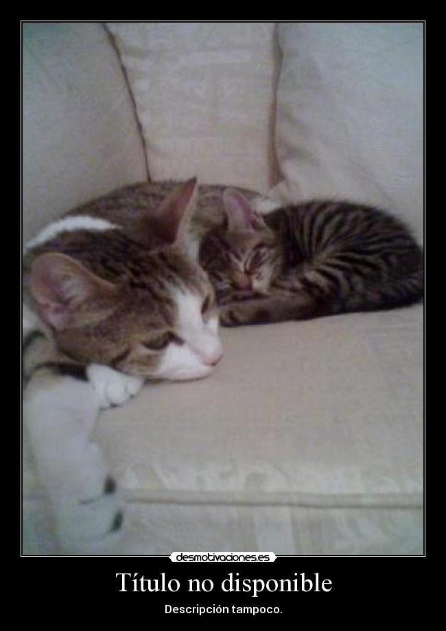 Título no disponible -