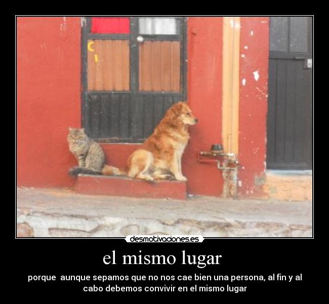 el mismo lugar - porque aunque sepamos que no nos cae bien una persona, al fin y al
cabo debemos convivir en el mismo lugar