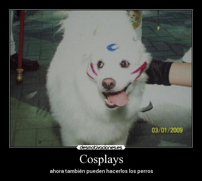 Cosplays -
