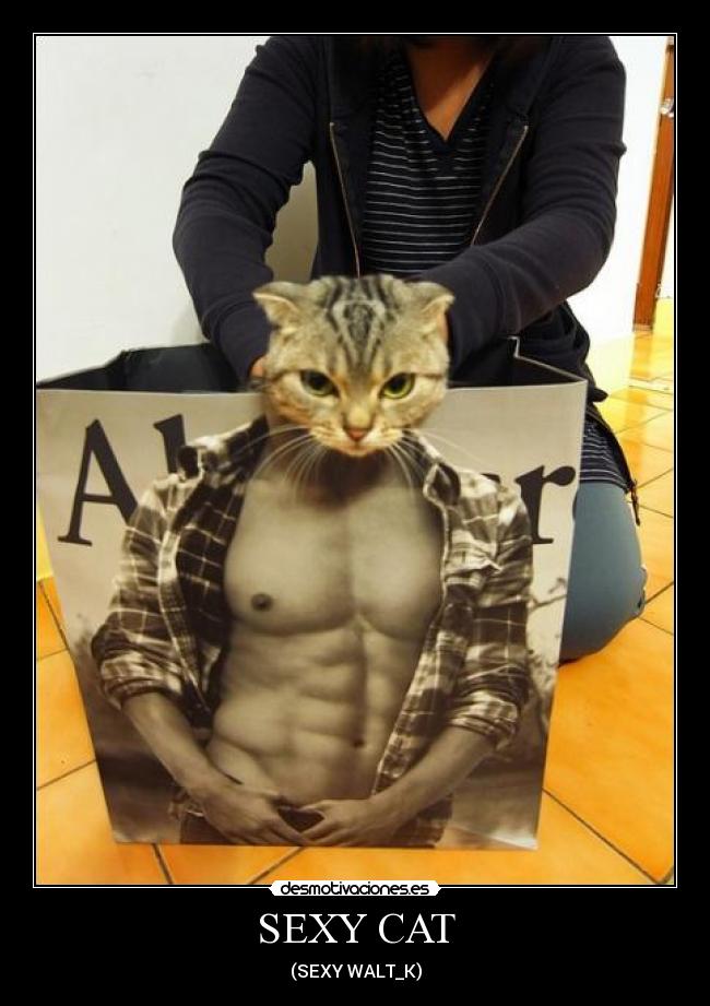 SEXY CAT - 