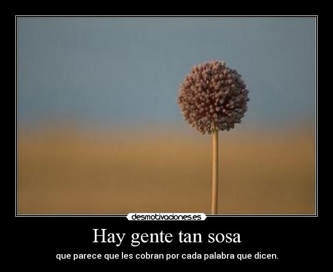 Hay gente tan sosa - que parece que les cobran por cada palabra que dicen.