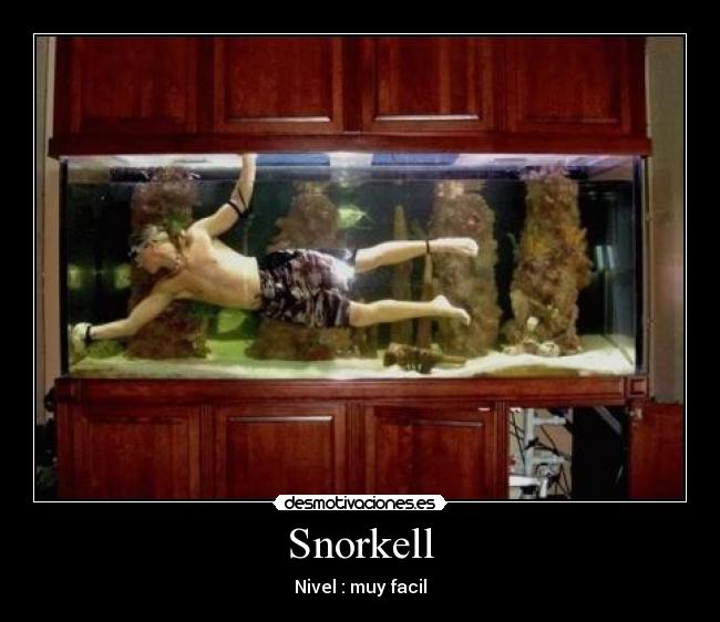 carteles snorkell desmotivaciones