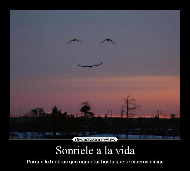 Sonriele a la vida - Porque la tendras qeu aguantar hasta que te mueras amigo
