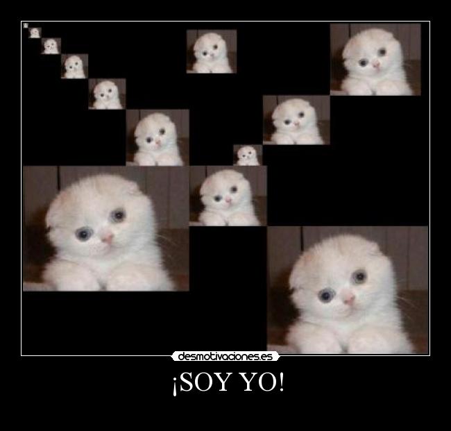 ¡SOY YO! -