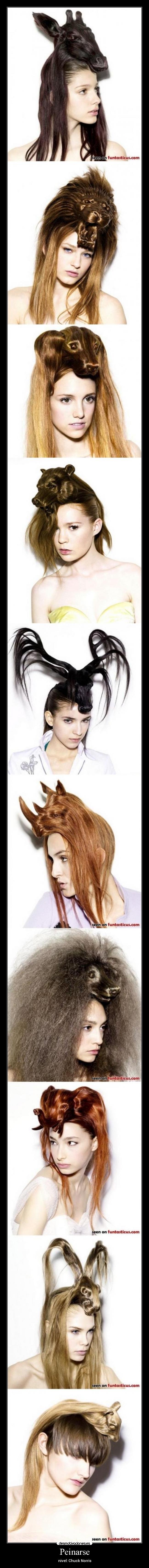 Peinarse - nivel: Chuck Norris