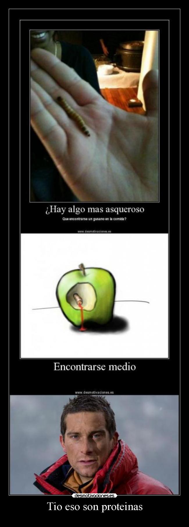 Tio eso son proteinas -