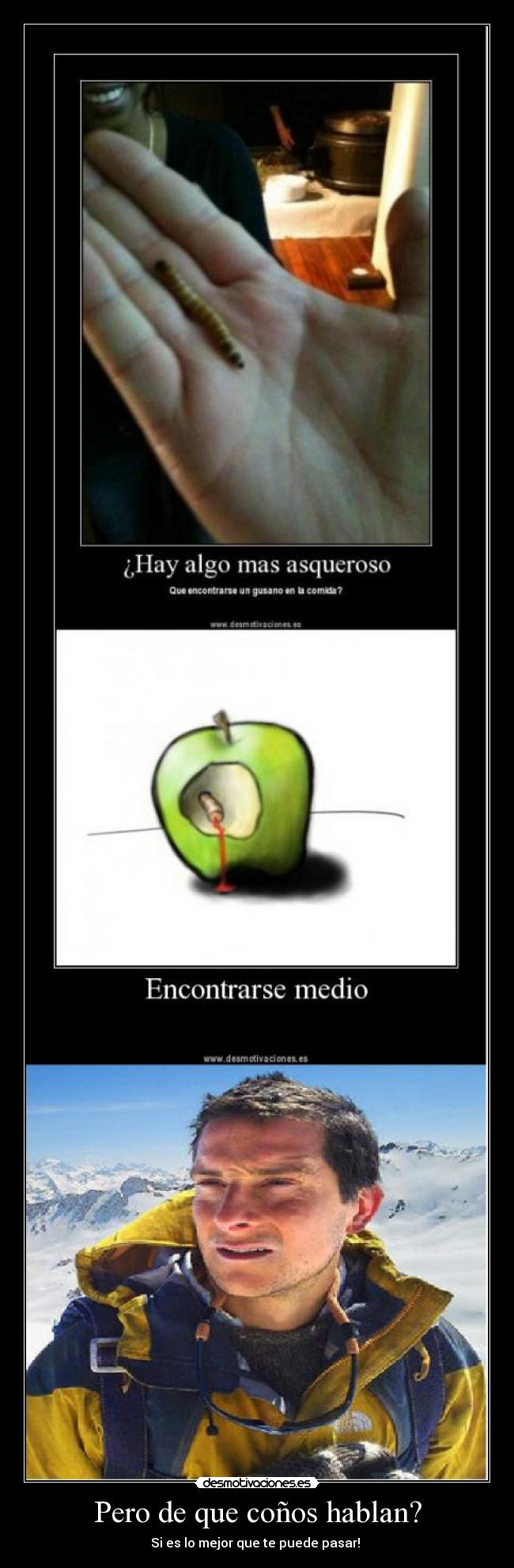 Pero de que coños hablan? -