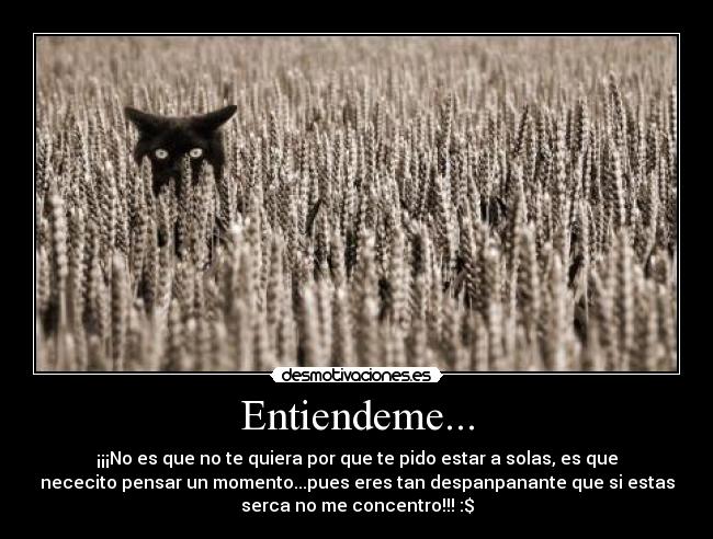 Entiendeme... - ¡¡¡No es que no te quiera por que te pido estar a solas, es que
nececito pensar un momento...pues eres tan despanpanante que si estas
serca no me concentro!!! :$