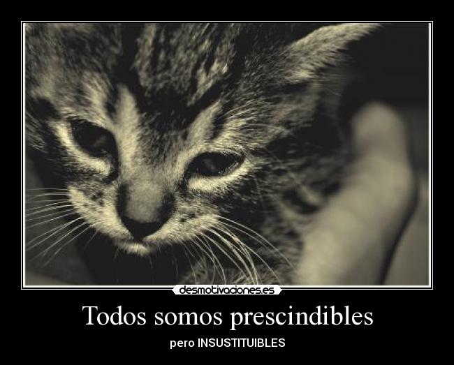 Todos somos prescindibles -
