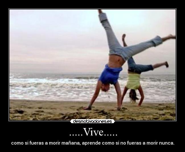.....Vive..... - como si fueras a morir mañana, aprende como si no fueras a morir nunca.