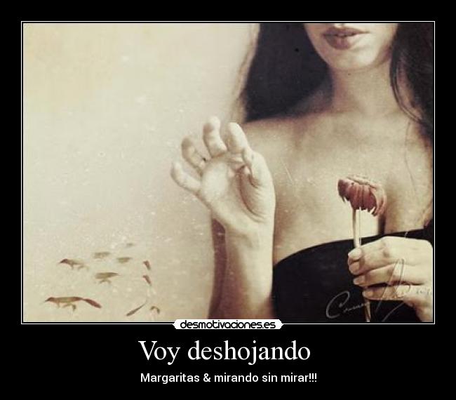 Voy deshojando - Margaritas & mirando sin mirar!!!