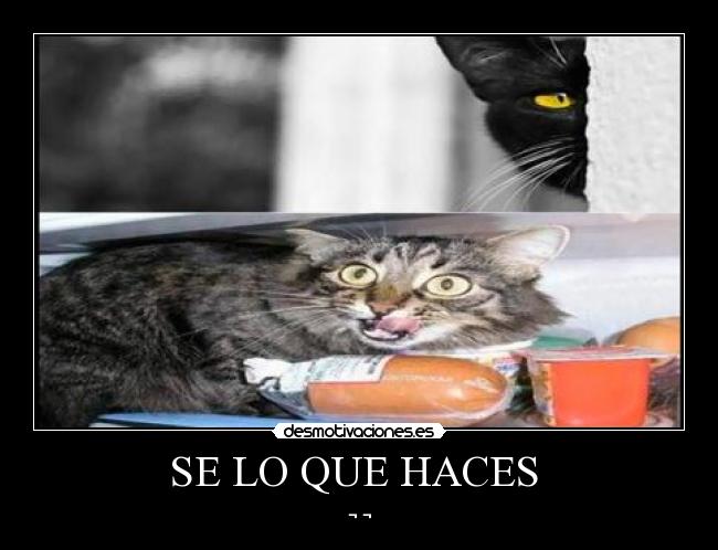 SE LO QUE HACES - ¬ ¬