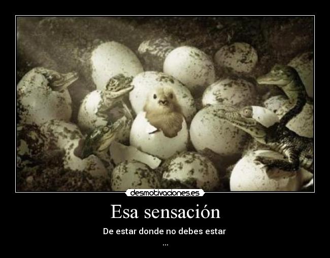 Esa sensación - De estar donde no debes estar
...