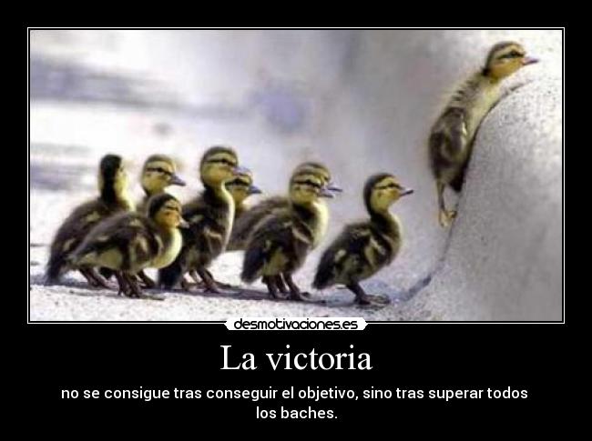 La victoria - no se consigue tras conseguir el objetivo, sino tras superar todos
los baches.