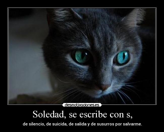 Soledad, se escribe con s, - de silencio, de suicida, de salida y de susurros por salvarme.