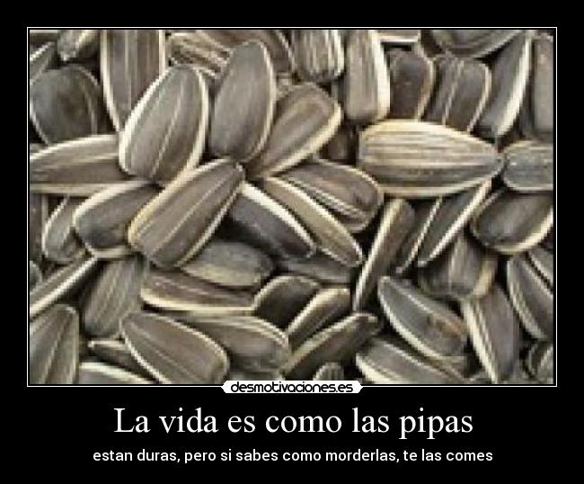 La vida es como las pipas -