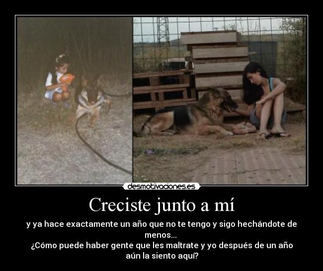 Creciste junto a mí - 