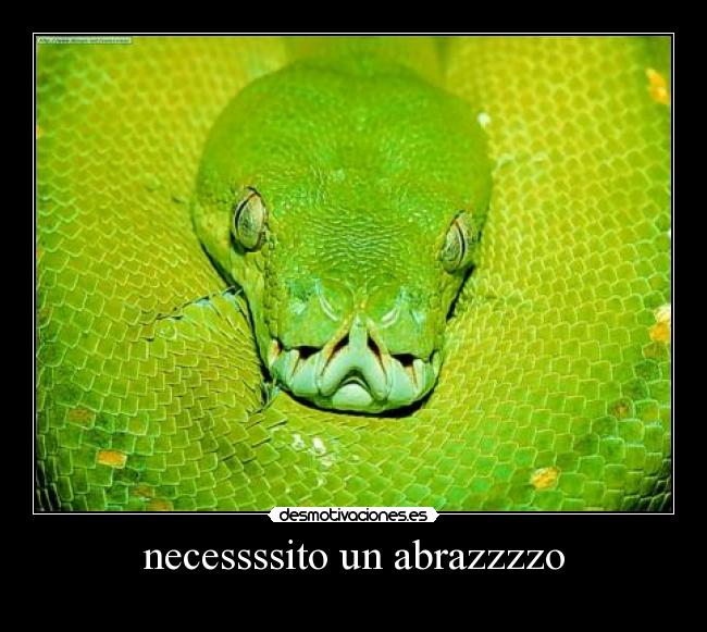 necessssito un abrazzzzo -
