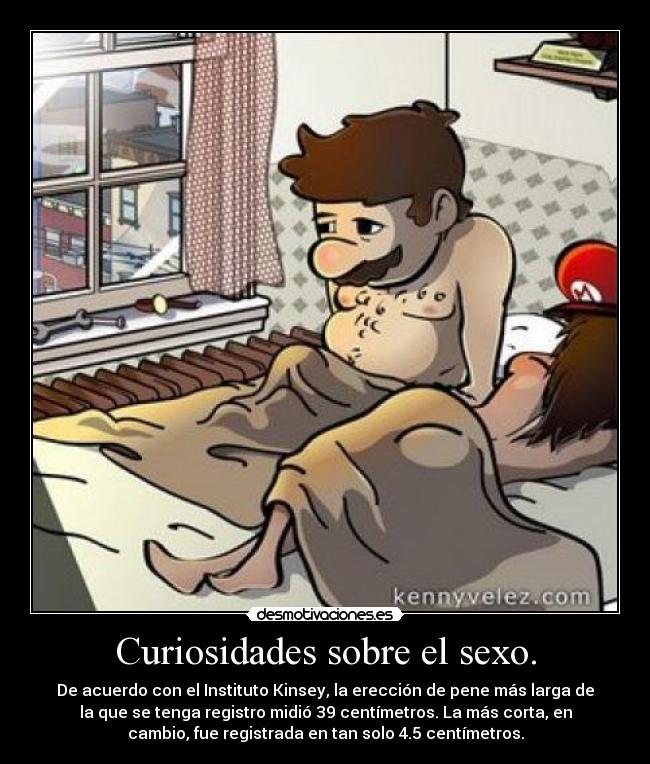 Curiosidades sobre el sexo. - 