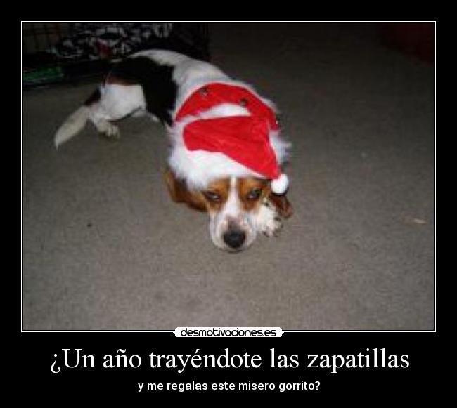 ¿Un año trayéndote las zapatillas - 