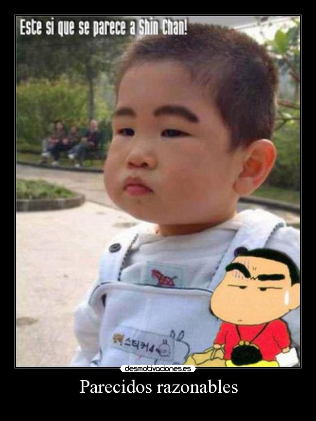 Parecidos razonables - 