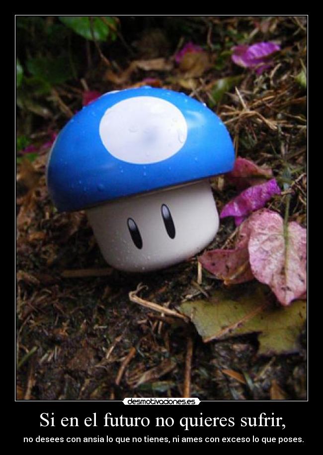 Si en el futuro no quieres sufrir, - 