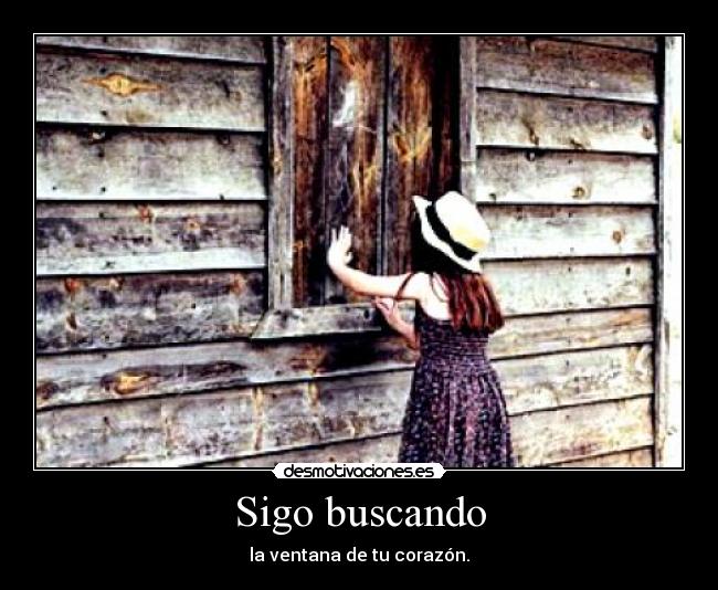 Sigo buscando - 