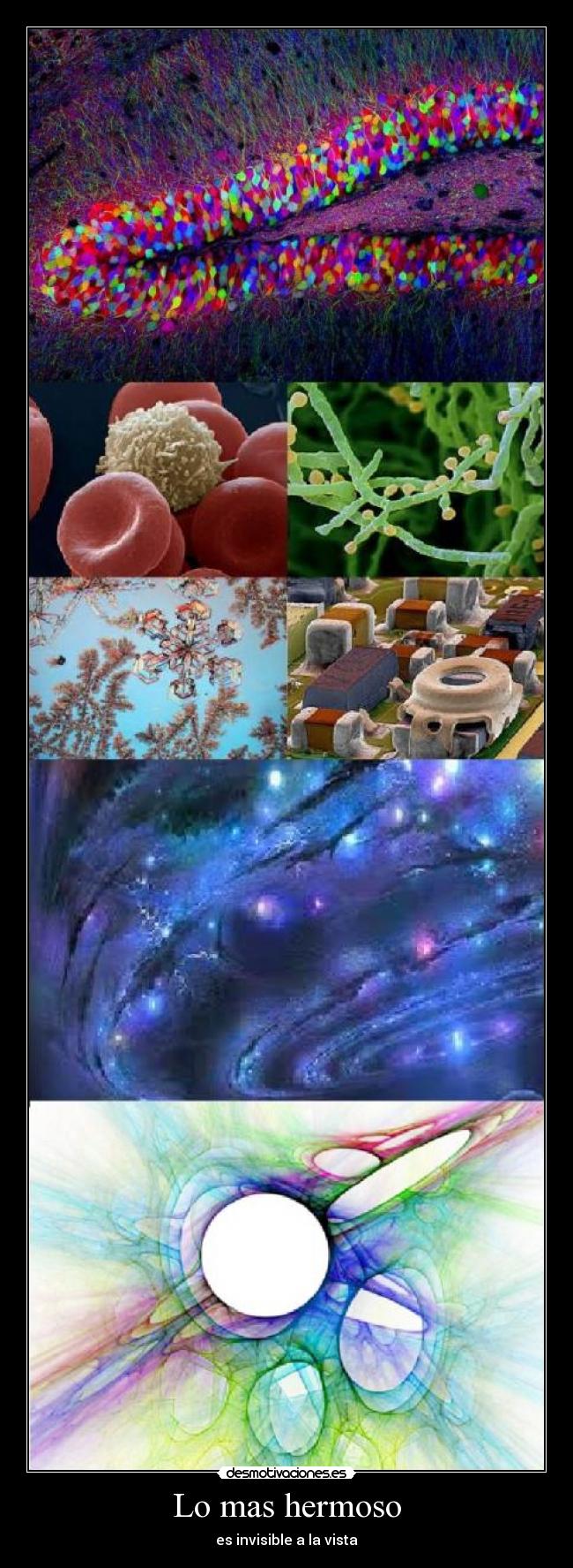 carteles ynohabledesoloestosinodetodoengenerald desmotivaciones