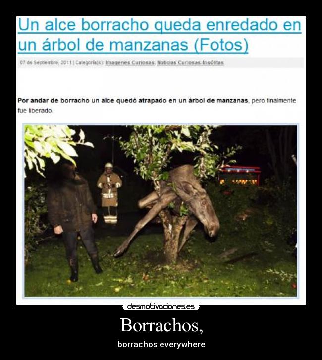 Borrachos, -