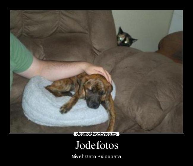 Jodefotos -