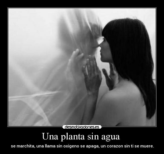 carteles amor desmotivaciones