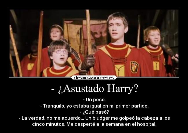 partido quidditch harry potter