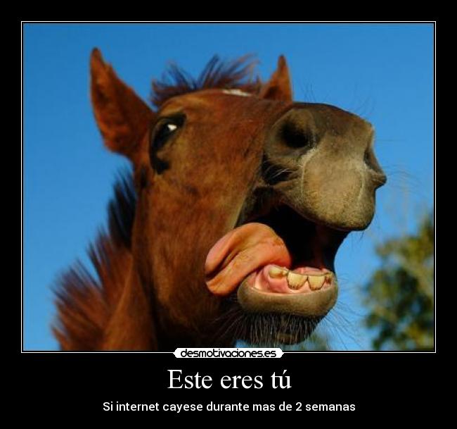 Este eres tú - Si internet cayese durante mas de 2 semanas