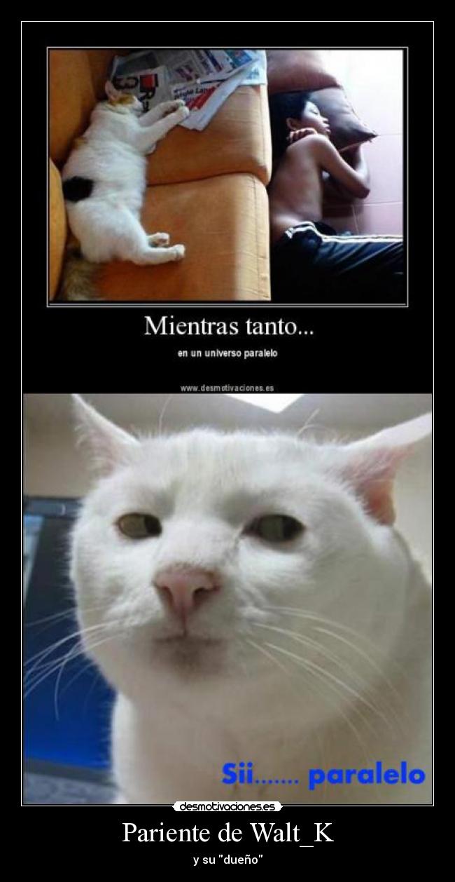 Pariente de Walt_K - y su dueño