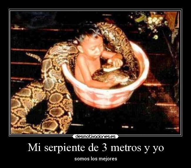 Mi serpiente de 3 metros y yo - 