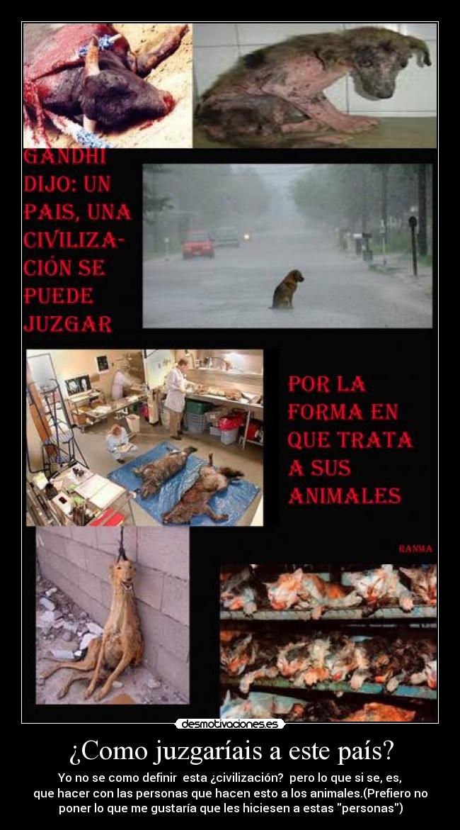 ¿Como juzgaríais a este país? - Yo no se como definir  esta ¿civilización?  pero lo que si se, es,
que hacer con las personas que hacen esto a los animales.(Prefiero no
poner lo que me gustaría que les hiciesen a estas personas)