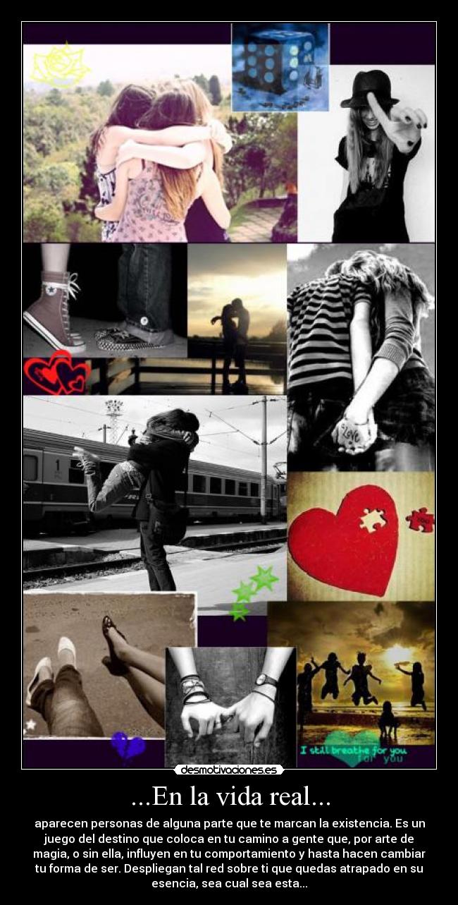 carteles vida vida real cpp ladykiss desmotivaciones