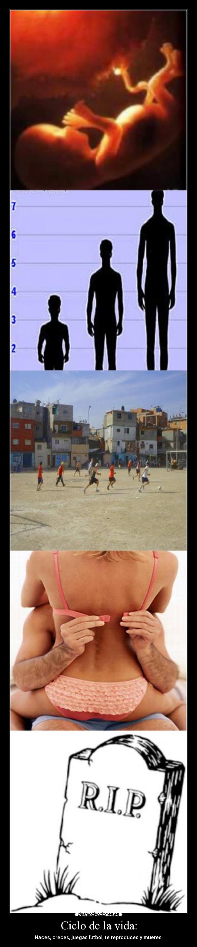 carteles vida vida mas vive juega futbol loco desmotivaciones